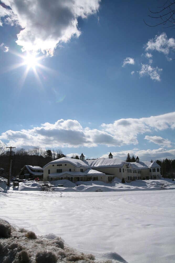 Snowflake Inn - photo 19