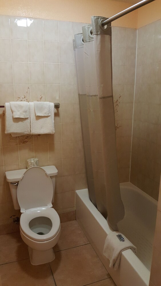 Camelot Inn - photo 4