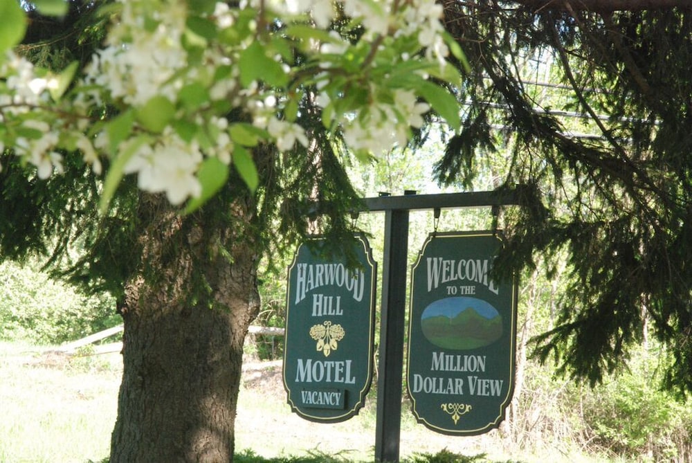 Harwood Hill Motel - photo 27