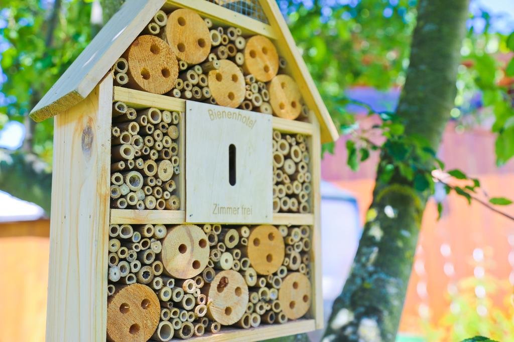 Pension Reiter Moravec — Seewalchen — photo 4