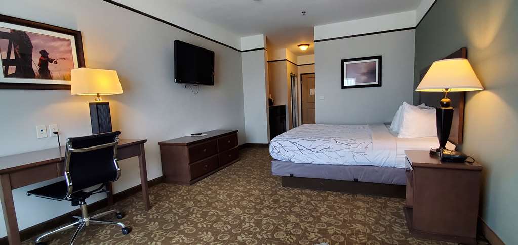 Best Western Plus Emory At Lake Fork Inn & Suites - photo 13