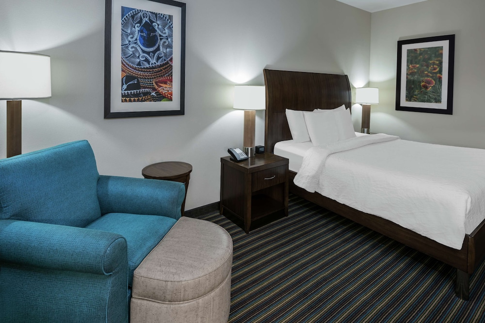 Hilton Garden Inn San Antonio At The Rim - photo 8