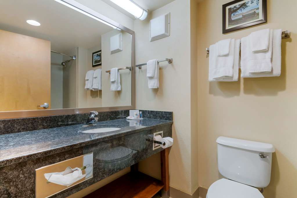 Comfort Inn Mechanicsburg Harrisburg South - photo 15
