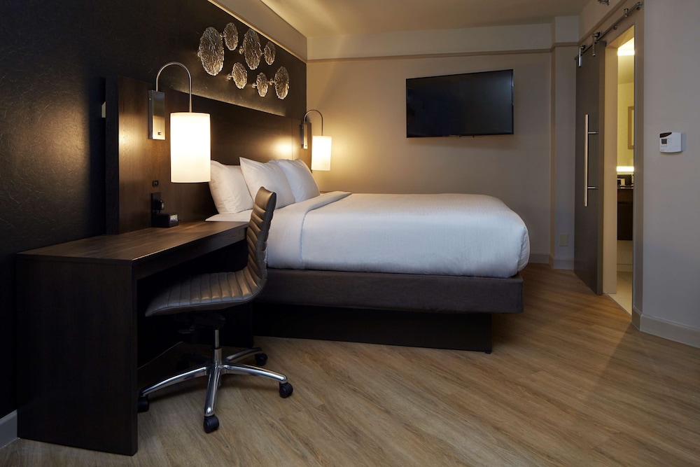 Embassy Suites by Hilton Atlanta Galleria - photo 17