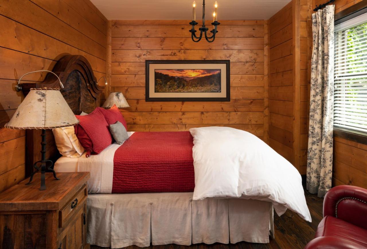 The White Birch Inn - photo 7
