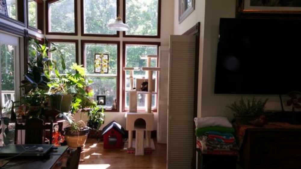 Fig Tree Manor - photo 27