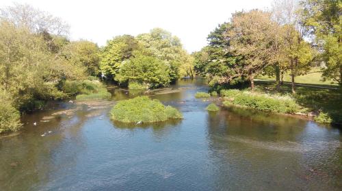 The Kings Arms Hotel - carbon neutral hotel in Blandford Forum