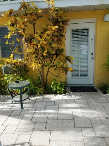 Alexander Palms Court - photo 22