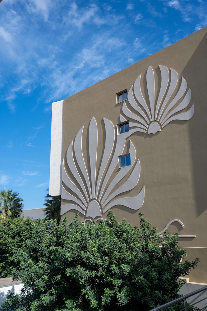 מראה חיצוני