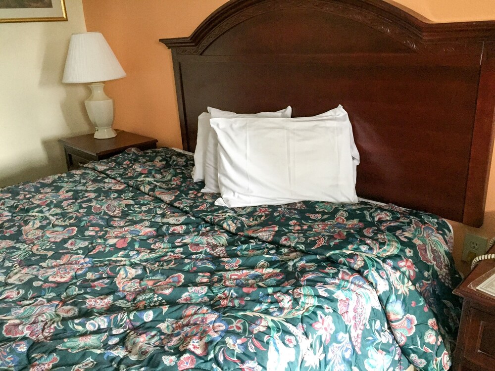 Motel 6 Calera - photo 14