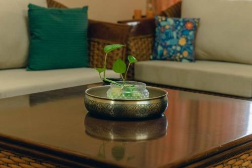 Cozy 3 BHK in the Heart of Ludhiana