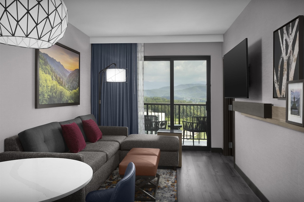 Embassy Suites by Hilton Pigeon Forge Resort - photo 17