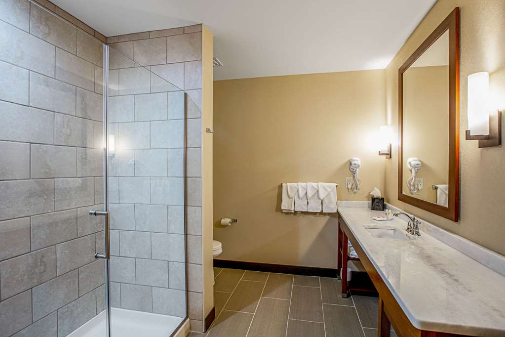 Comfort Suites Fishkill near Interstate 84 - photo 38
