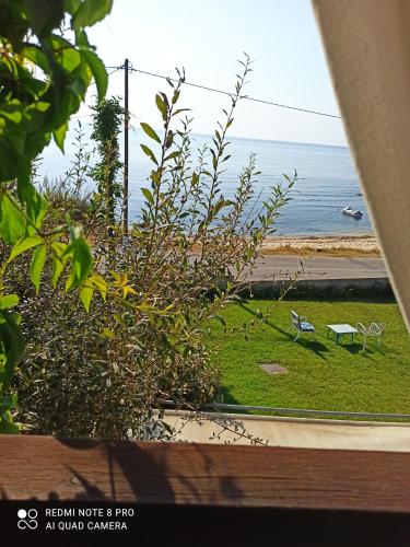 Villa Alexander — Xanthi — photo 4