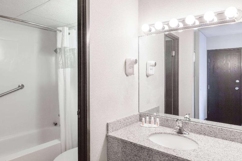Ramada Plaza by Wyndham Albany - photo 21