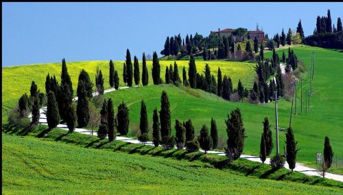 Casa Vio — 4-Star Luxury Hotel in Asciano, Italy