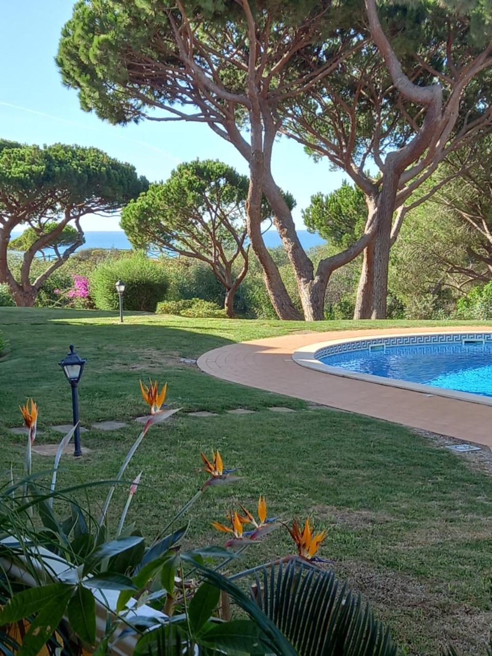 Paradise On The Beach - last minute hotel in Albufeira