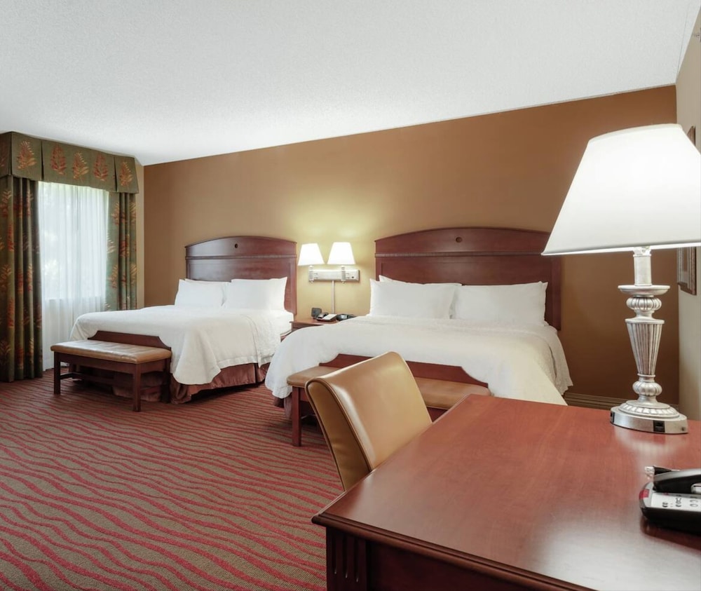 Hampton Inn & Suites Port Richey - photo 16