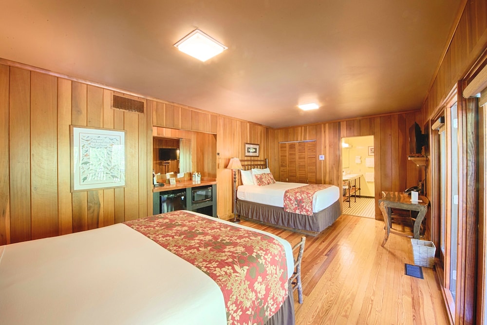 Historic Tapoco Lodge Resort - photo 51