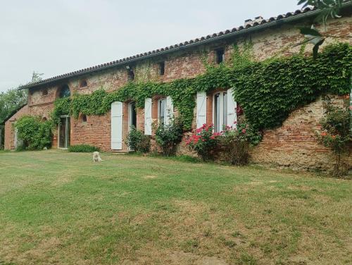 L'Eden des Pyrénées — hotel in Lezat-Sur-Leze