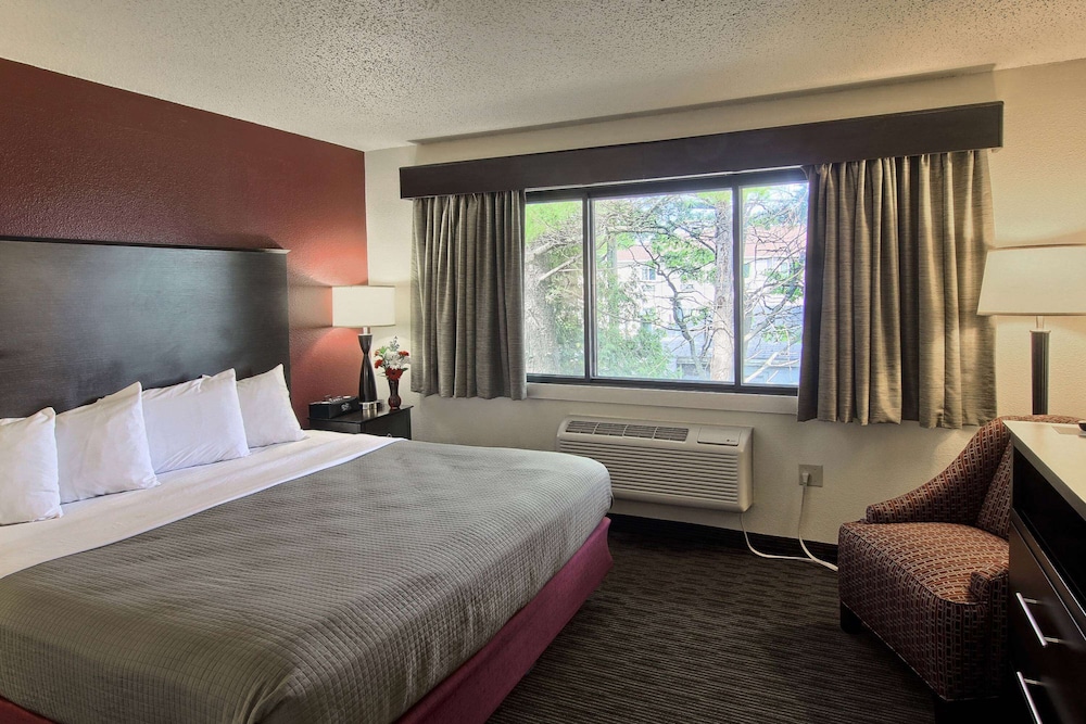 Blossom Hotel & Suites Traverse City - photo 17