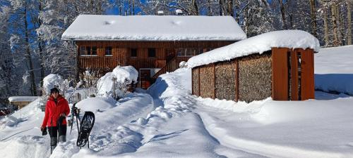 Ferienhaus Bregenzerwald — Bizau — photo 4