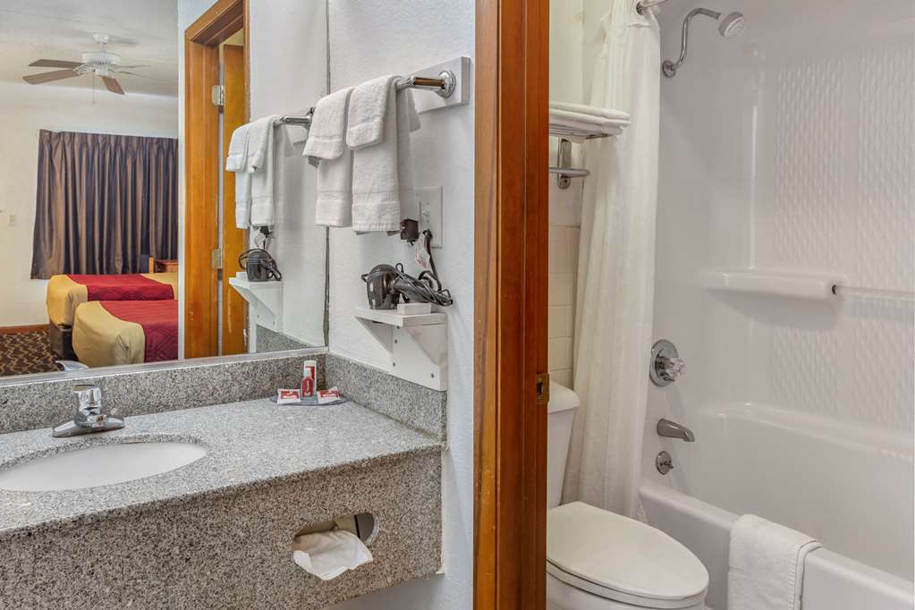 Econo Lodge Inn & Suites Albany North - photo 10
