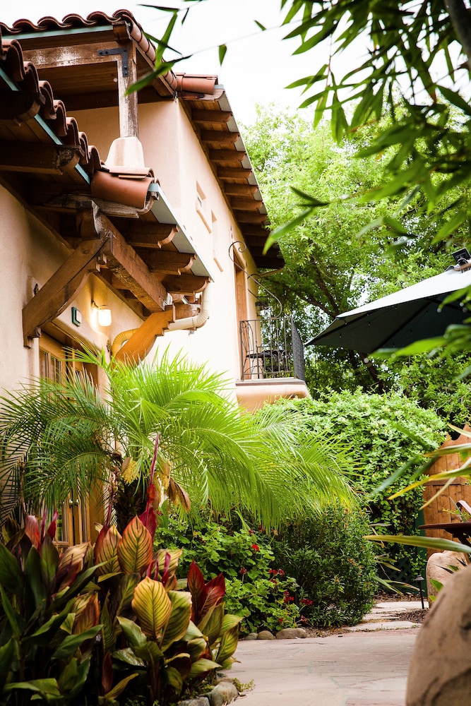 Blue Iguana Inn - photo 66