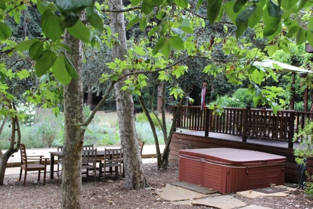 Glen Cameron Holiday - photo 10