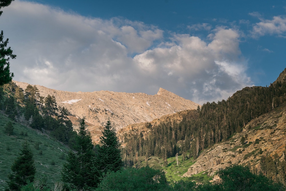 Silver City Mountain Resort - photo 142