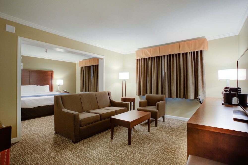 Comfort Inn Sunnyvale Silicon Valley - photo 28
