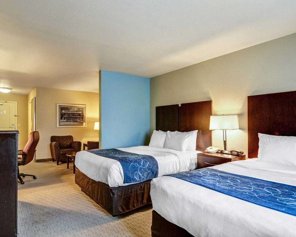 Comfort Suites near Hot Springs Park - photo 8