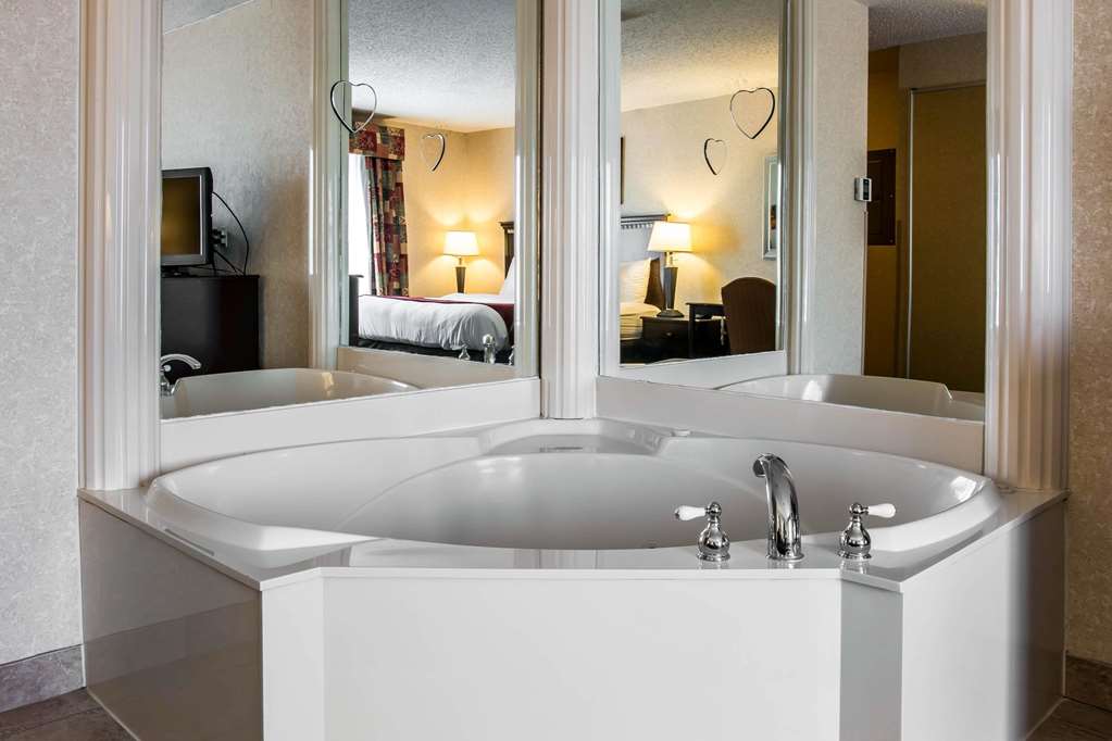 Comfort Suites Canton Detroit - photo 6