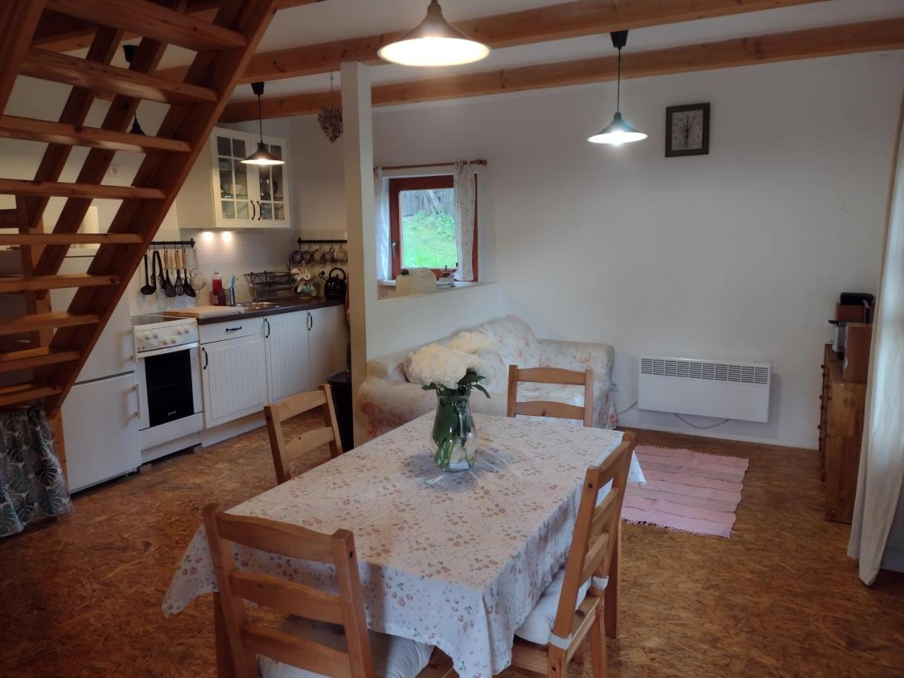 Chata Dvirka — hotel in Zelezny Brod