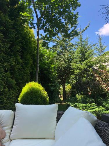 Zielone zacisze na Kamiennej Górze w Gdyni in Gdynia, Poland