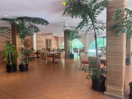 Aurora Luxury Suite con acceso a la playa — Chame — photo 2