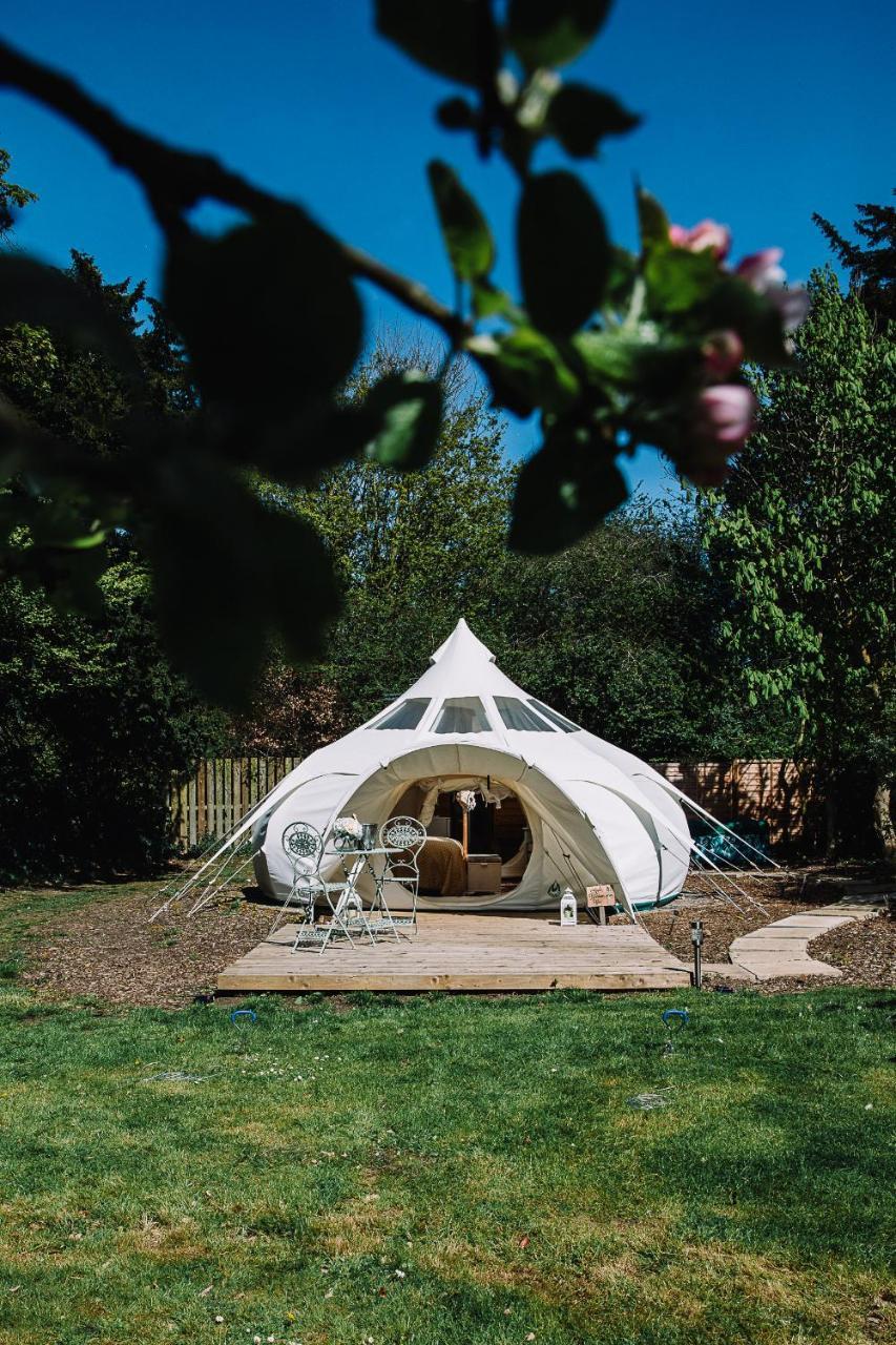 Appleblossom Yurt in Scunthorpe, United Kingdom