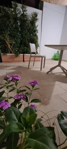 Mioe — Muro Leccese — photo 2