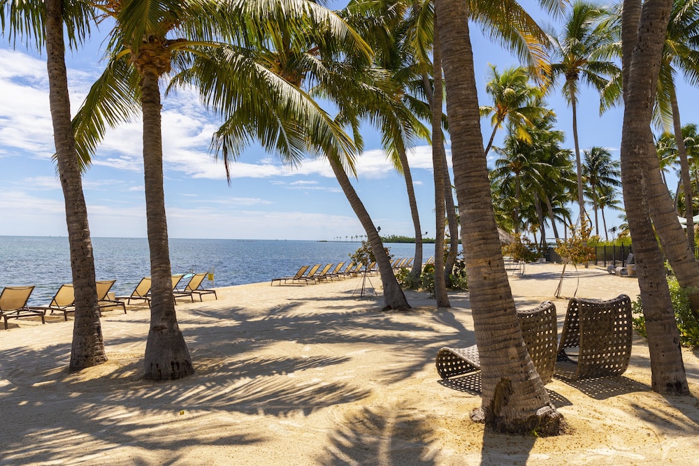 Amara Cay Resort - photo 113