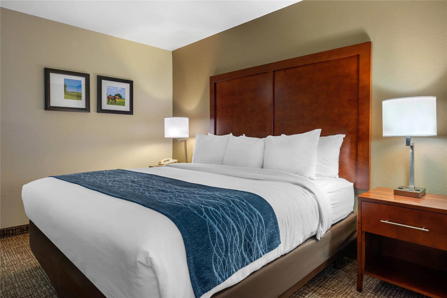 Comfort Inn Ocala Silver Springs - photo 16
