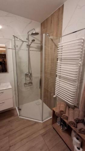 Apartament Amsterdam 4 os sauna sala fitness — 4-Star Luxury Hotel in Szklarska Poreba, Poland