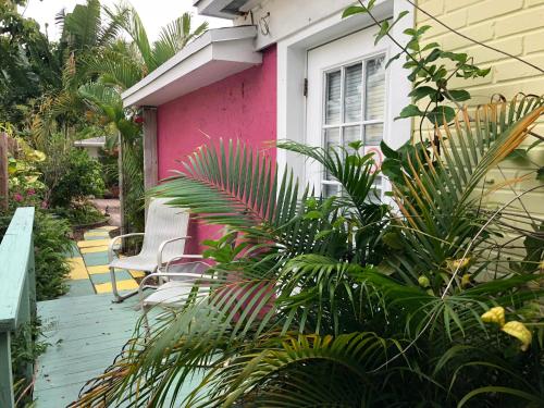 Calypso Inn Wilton Gay Male Resort - photo 4