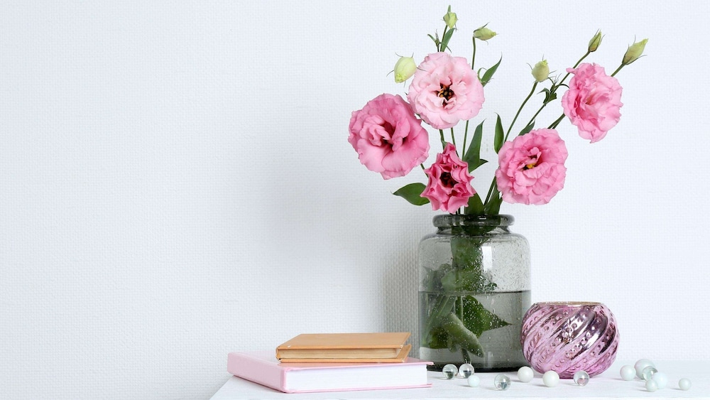 Sun Plaza Motel - photo 2