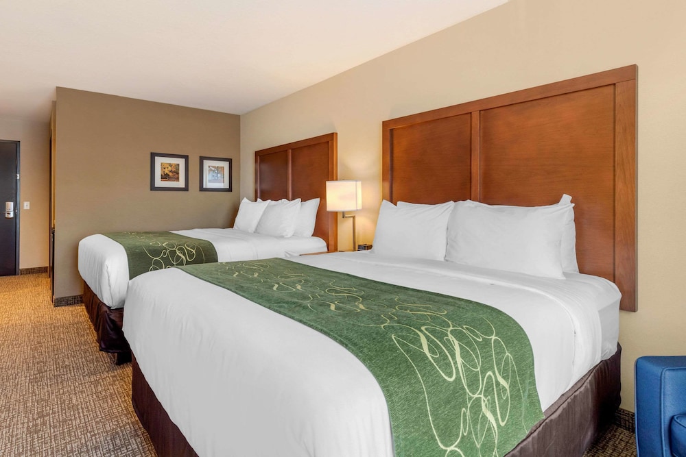 Comfort Inn & Suites Schenectady Scotia - photo 25