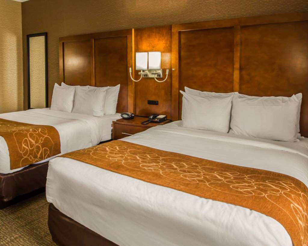 Quality Suites NYC Gateway - photo 18