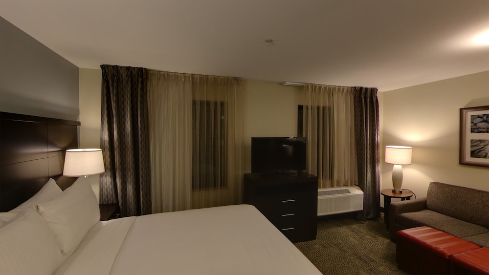 Staybridge Suites Ann Arbor Univ of Michigan by IHG - photo 9