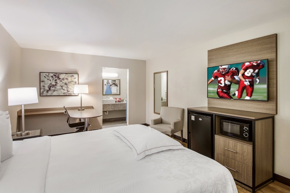 Red Roof Inn PLUS Dallas Addison - photo 11