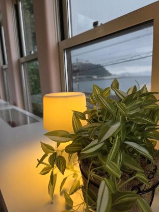 Ivy Stay Angel — 4-Star Luxury Hotel in Otaru, Japan
