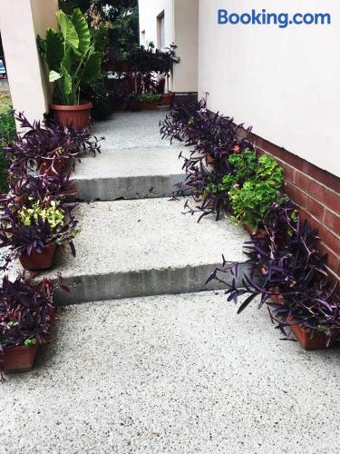 Rody in Silistra, Bulgaria