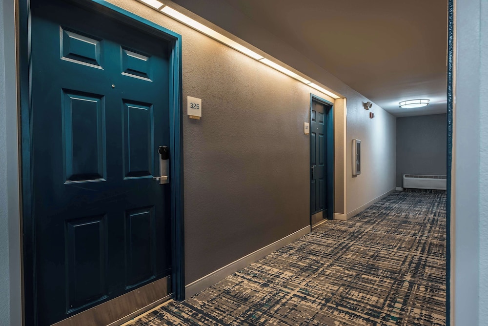 Sonesta Simply Suites Dallas Richardson - photo 5